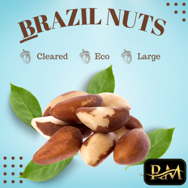 BRAZIL NUTS